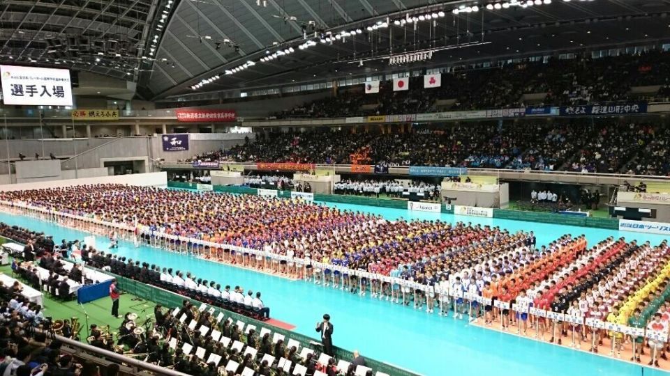 高中排球的, 训系统的强, 从懵懂球员 高中排球的, 训系统的强, 从懵懂球员