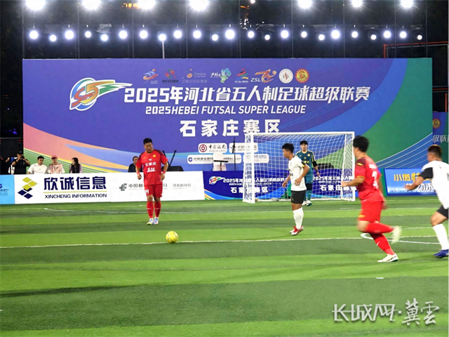 整阵容, 石家庄队老 整阵容, 石家庄队老