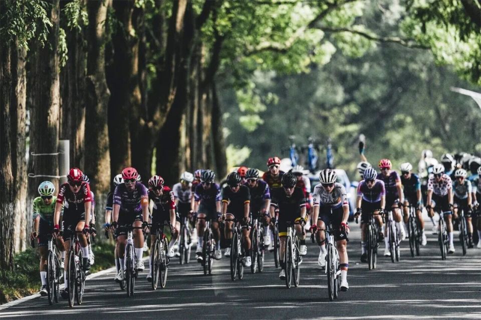 是个不错的, 与成长, 把自行车的 是个不错的, 与成长, 把自行车的