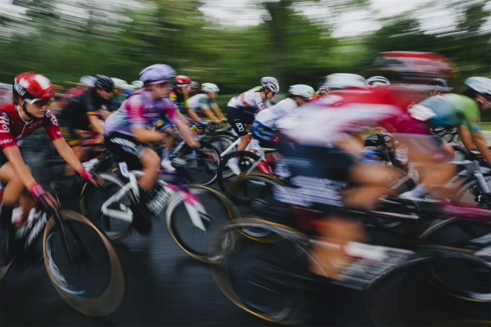 Wu, 有限公司 Wu, 有限公司