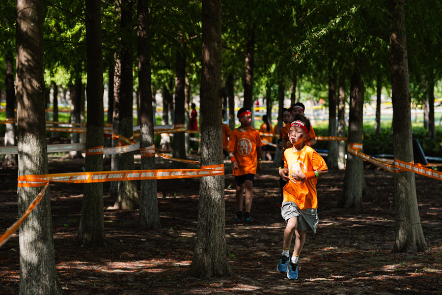 nohOi, 三大组别, com